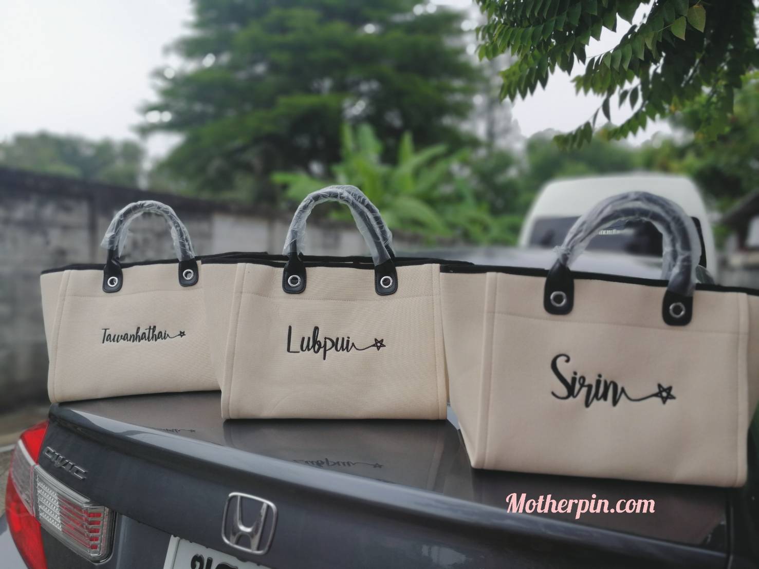 ผลงานกระเป๋าปักดาว